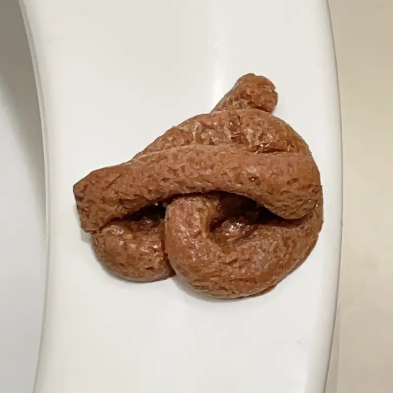 リアルな浮遊する偽うんちいたずらおもちゃ、パーティー用の面白 - Fake Poop Gag Gift のレビューと価格